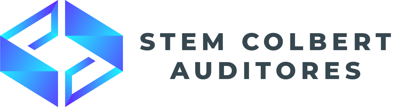 STEM AUDITORES PATAGONIA